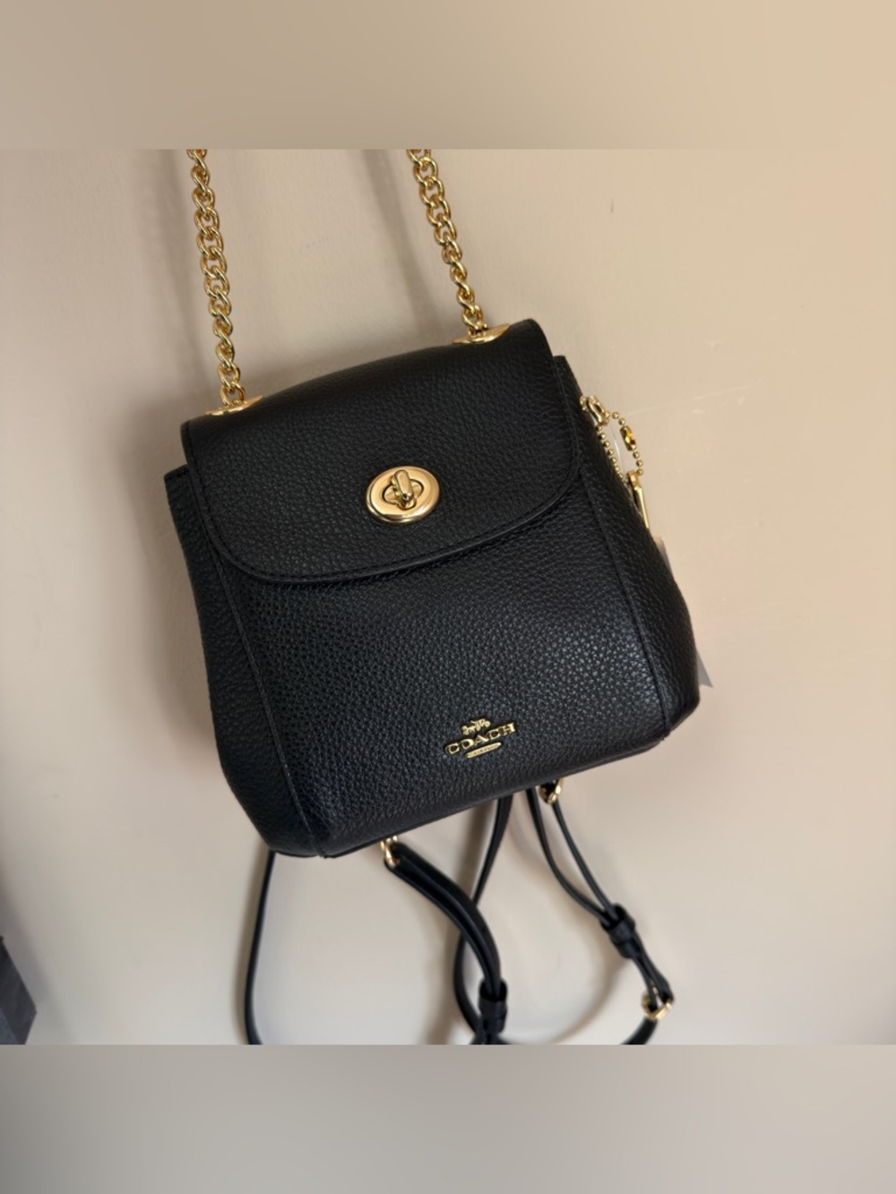 Coach C5677 LTH CONV MN BKPK